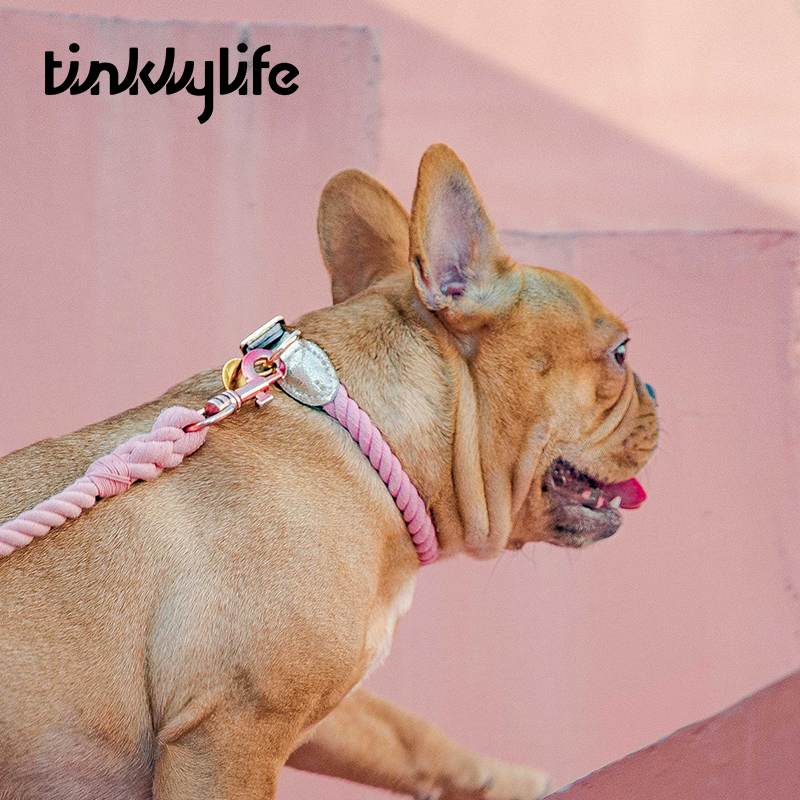 Tinklylife Dog Knit Leash