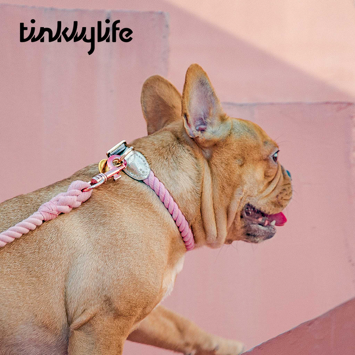 Tinklylife Dog Knit Leash