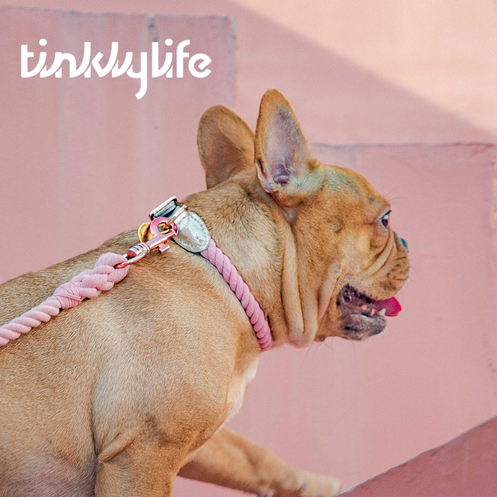 Tinklylife Dog Knit Collar - Pink+Gold Leather