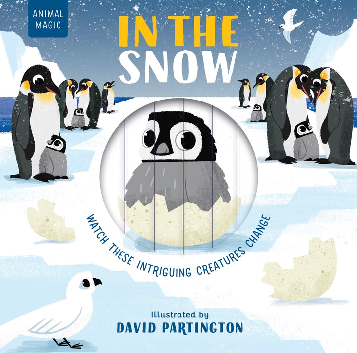 >Usborne Animal Magic: in the Snow