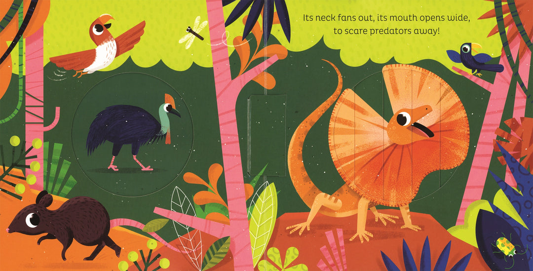 >Usborne Animal Magic: in the Jungle