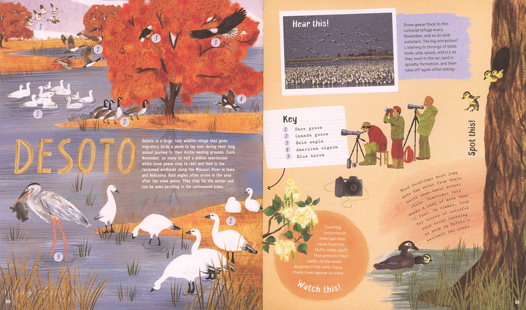 >Usborne Explore! America's Wildlife 7Y+