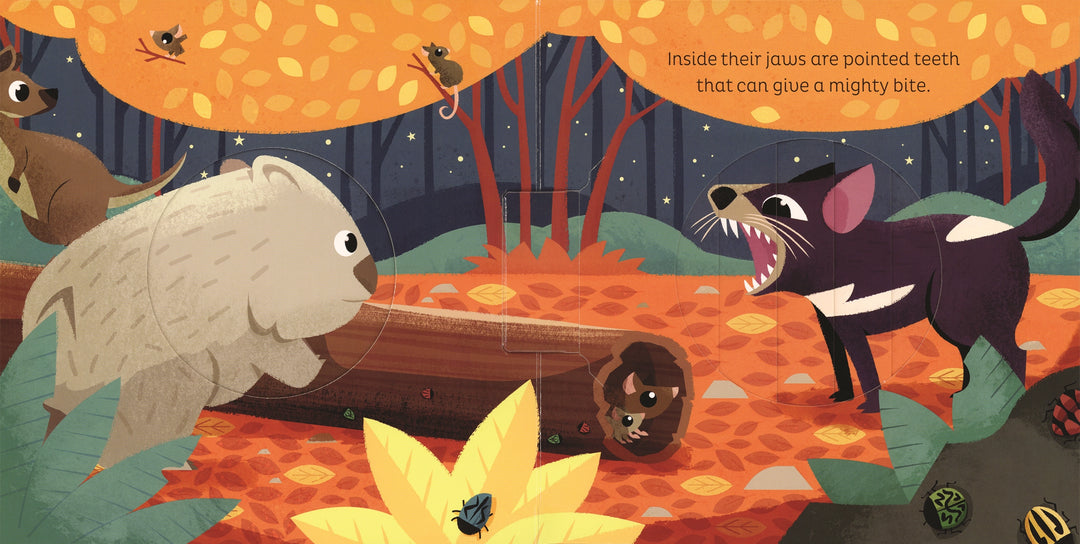 >Usborne Animal Magic: in the Night