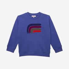 Catimini Kids Boys Embroidered Cotton Sweatshirt in Blue