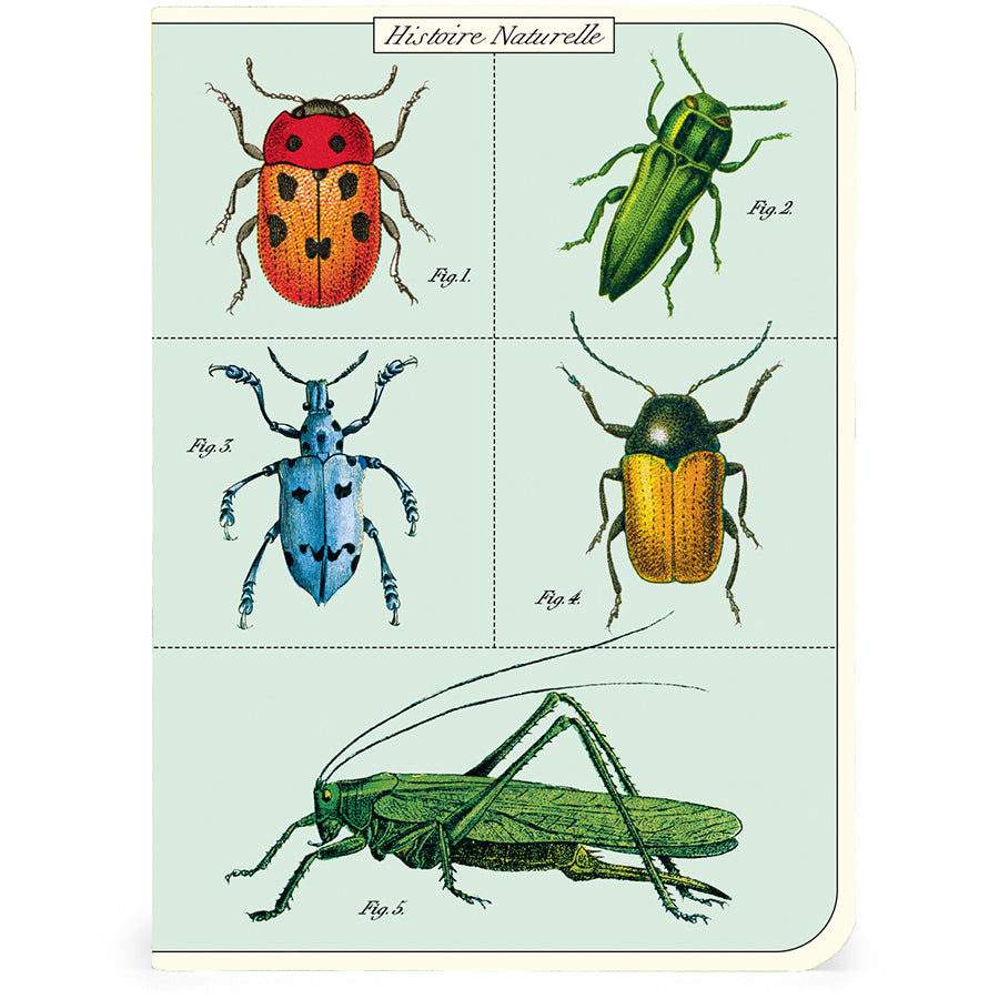 >Cavallini Mini Notebooks - Bugs & Insects - 96 pages 4" x 5.5" (10 cm x 14 cm)