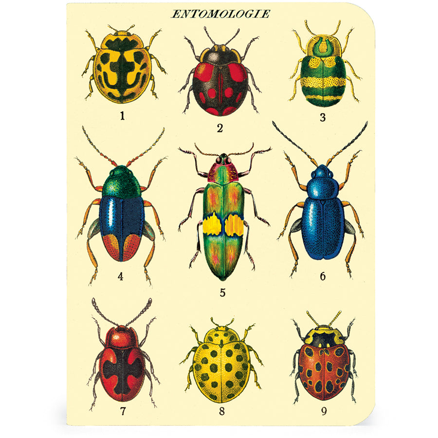 >Cavallini Mini Notebooks - Bugs & Insects - 96 pages 4" x 5.5" (10 cm x 14 cm)