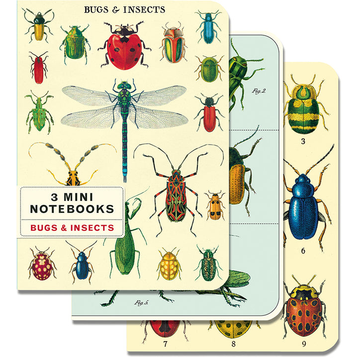 >Cavallini Mini Notebooks - Bugs & Insects - 96 pages 4" x 5.5" (10 cm x 14 cm)