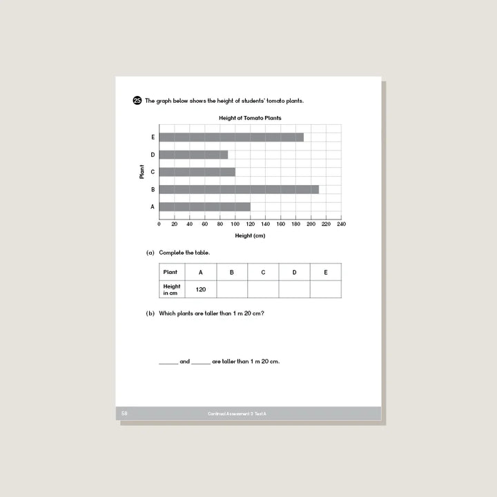 >Singapore Math - Dimensions Math Tests 3B