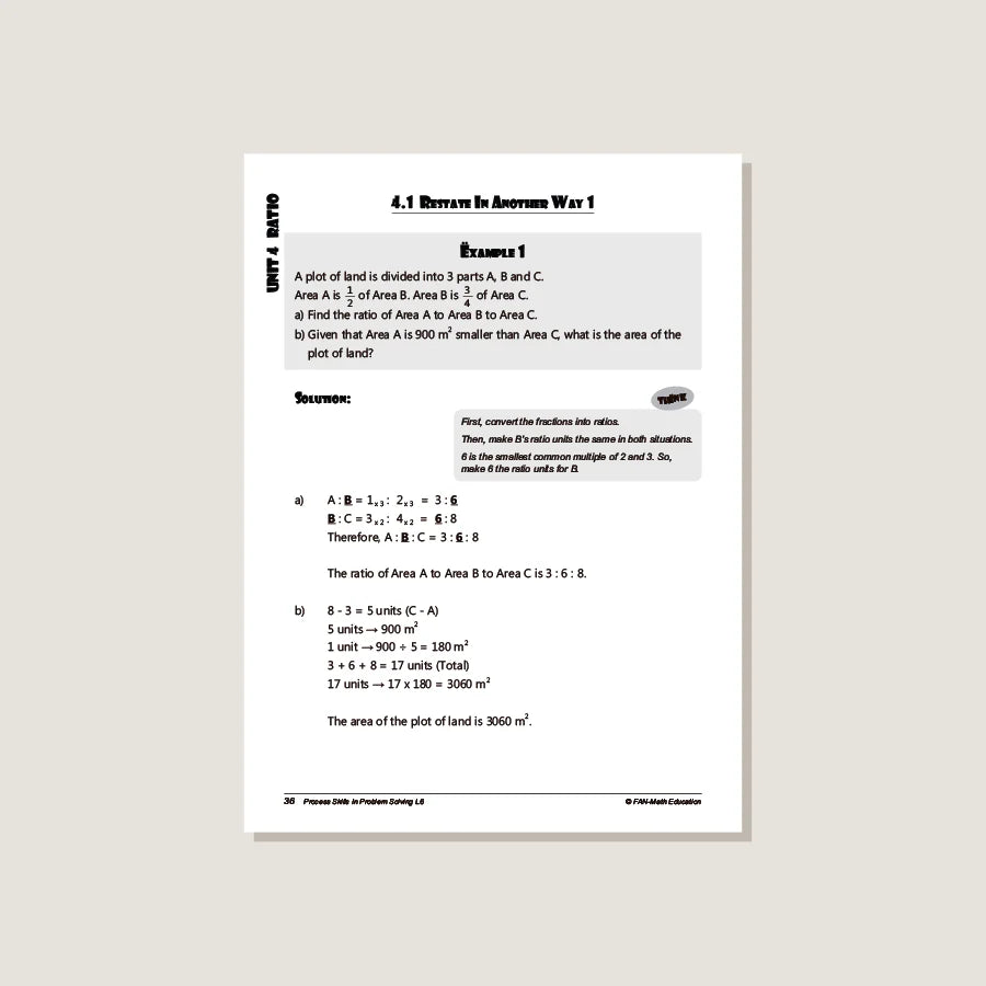 >Singapore Math Fan-Math Process Skills in Problem Solving Level / Grade 6