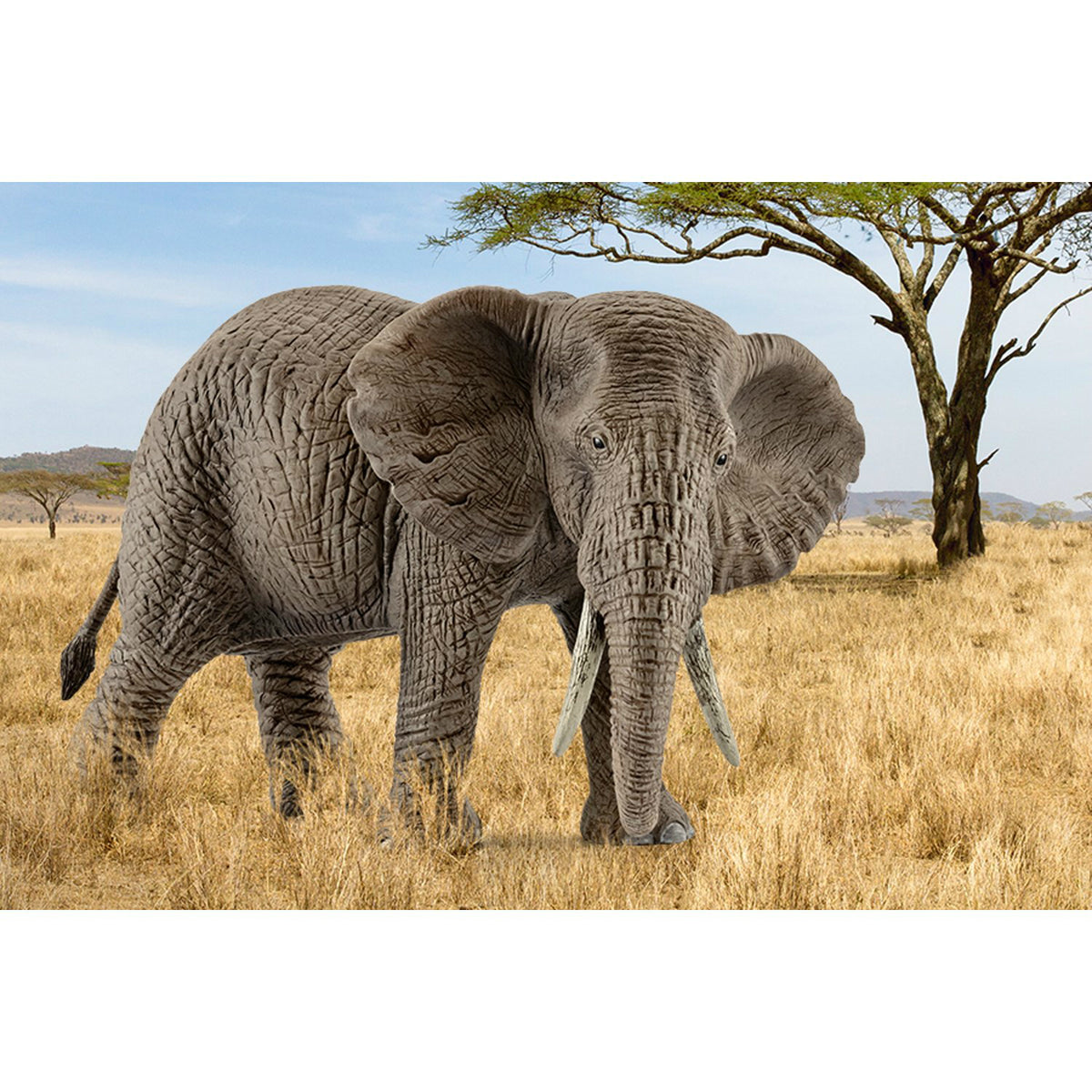 Schleich WILD LIFE - African Elephant Female