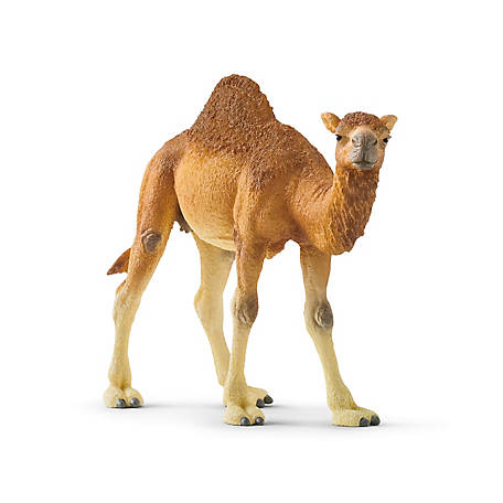 >Schleich WILD LIFE - Dromedary