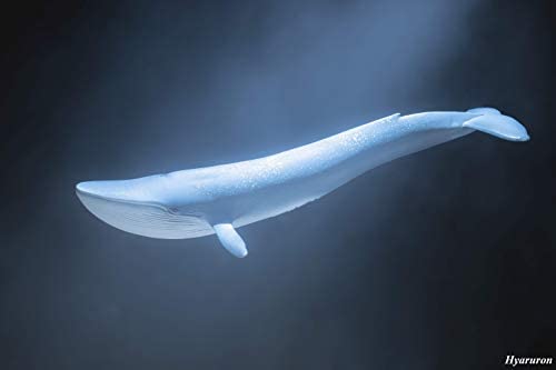 Schleich WILD LIFE - Blue whale