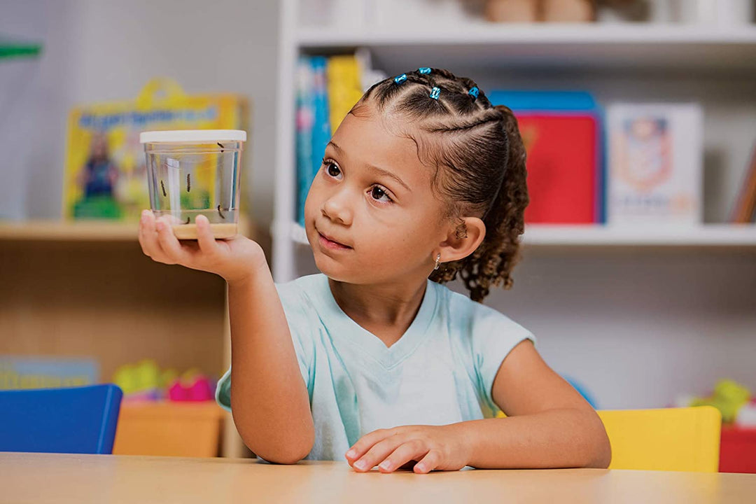 >Insect Lore Life Science & STEM Education – Butterfly Garden Kit