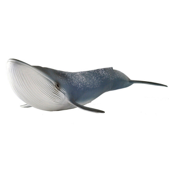 >Schleich WILD LIFE - Blue whale