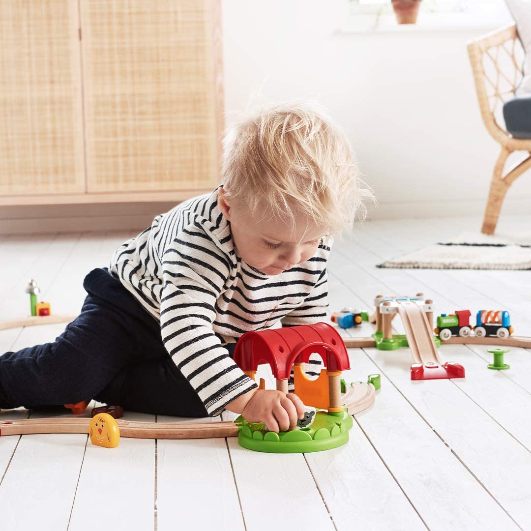 >BRIO 33727 My First Advanced Kit