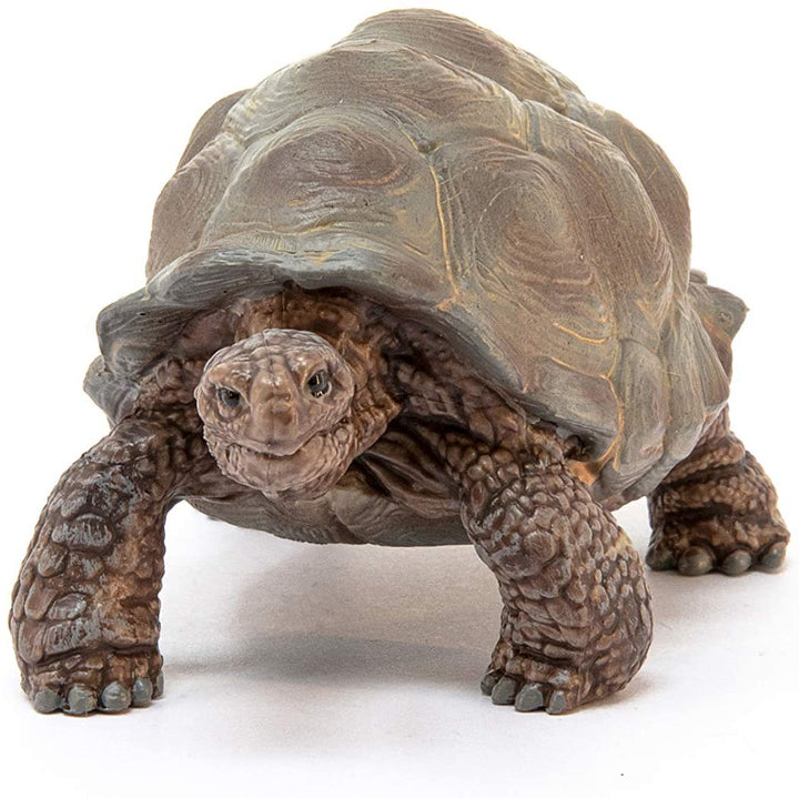 >Schleich WILD LIFE - Giant Tortoise