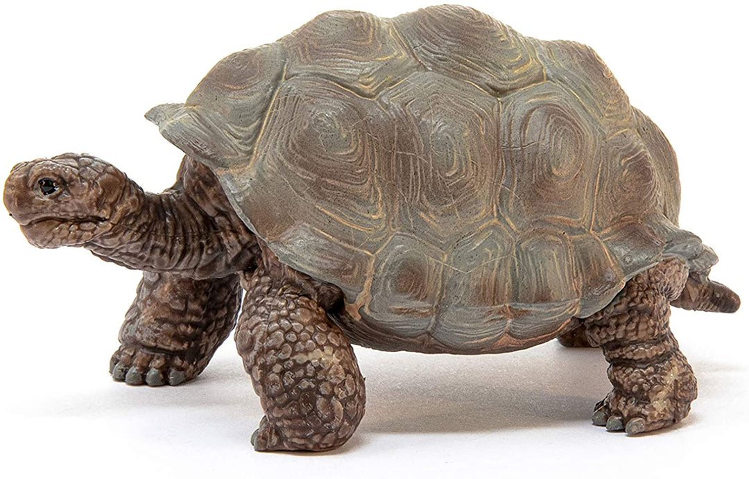 >Schleich WILD LIFE - Giant Tortoise