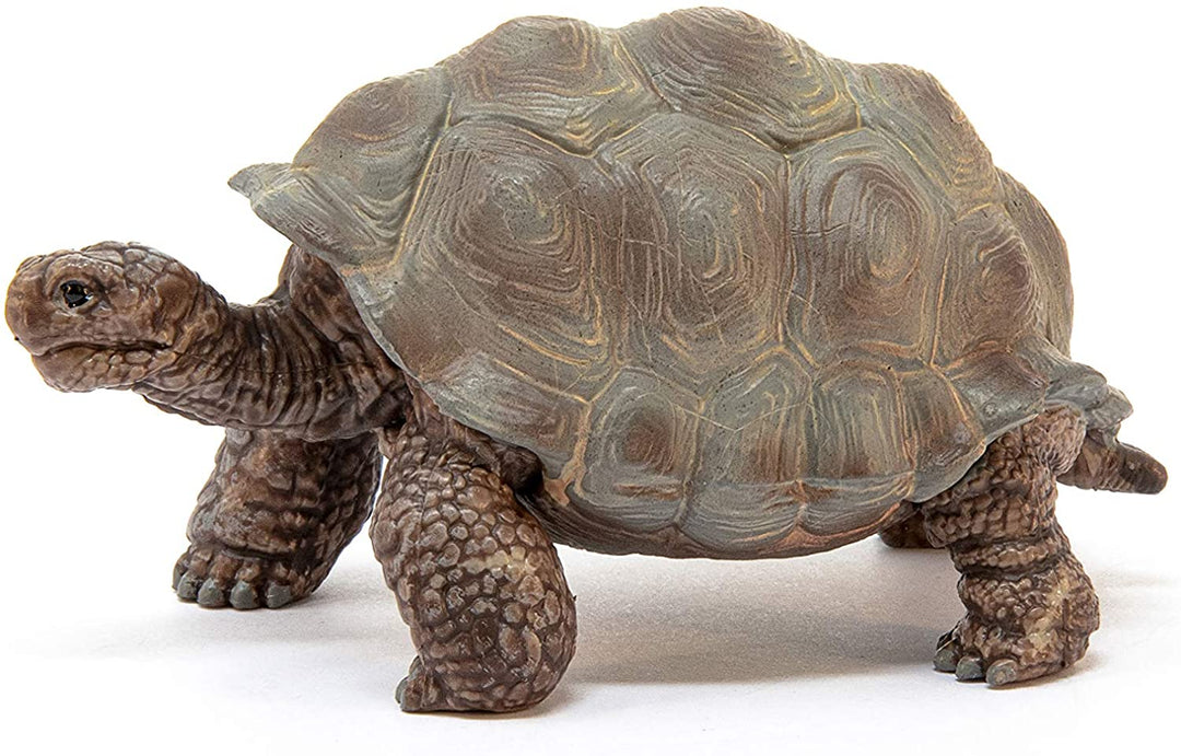 Schleich WILD LIFE - Giant Tortoise