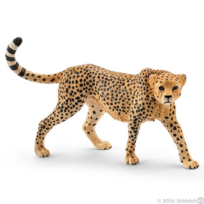 Schleich WILD LIFE - Cheetah, female