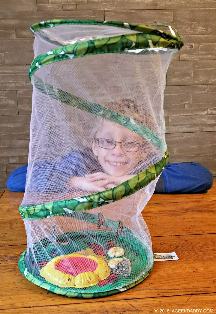 >Insect Lore Life Science & STEM Education – Butterfly Garden Kit