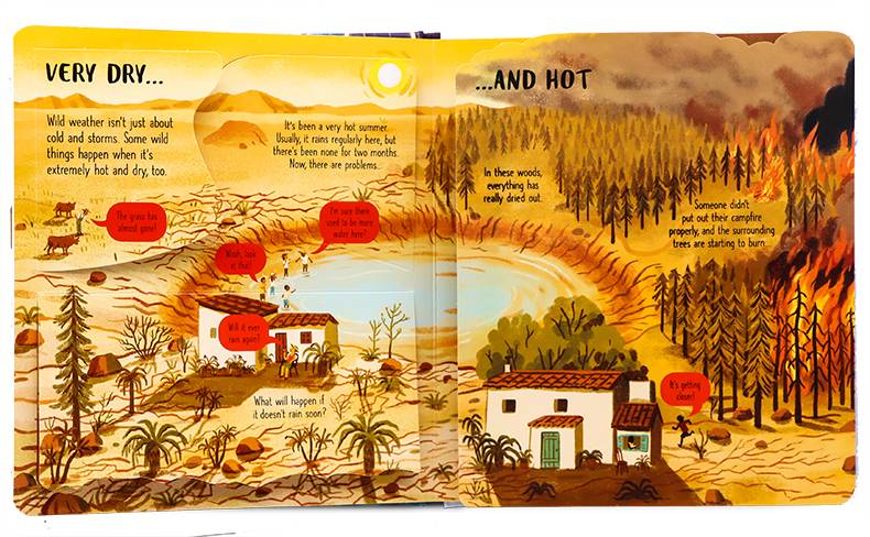 >USBORNE Look Inside Wild Weather 5Y+