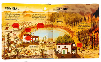 >USBORNE Look Inside Wild Weather 5Y+