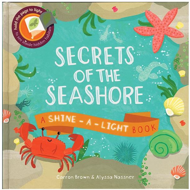 >USBORNE Shine-a-Light - Secrets of The Seashore (4-8Y)