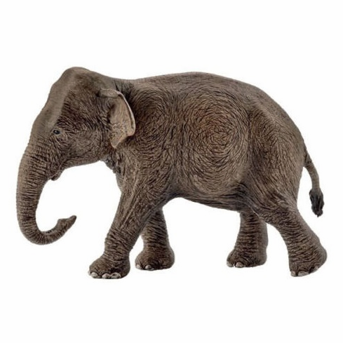 Schleich WILD LIFE - Asian elephant, female