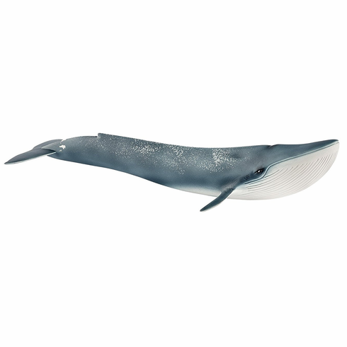 >Schleich WILD LIFE - Blue whale