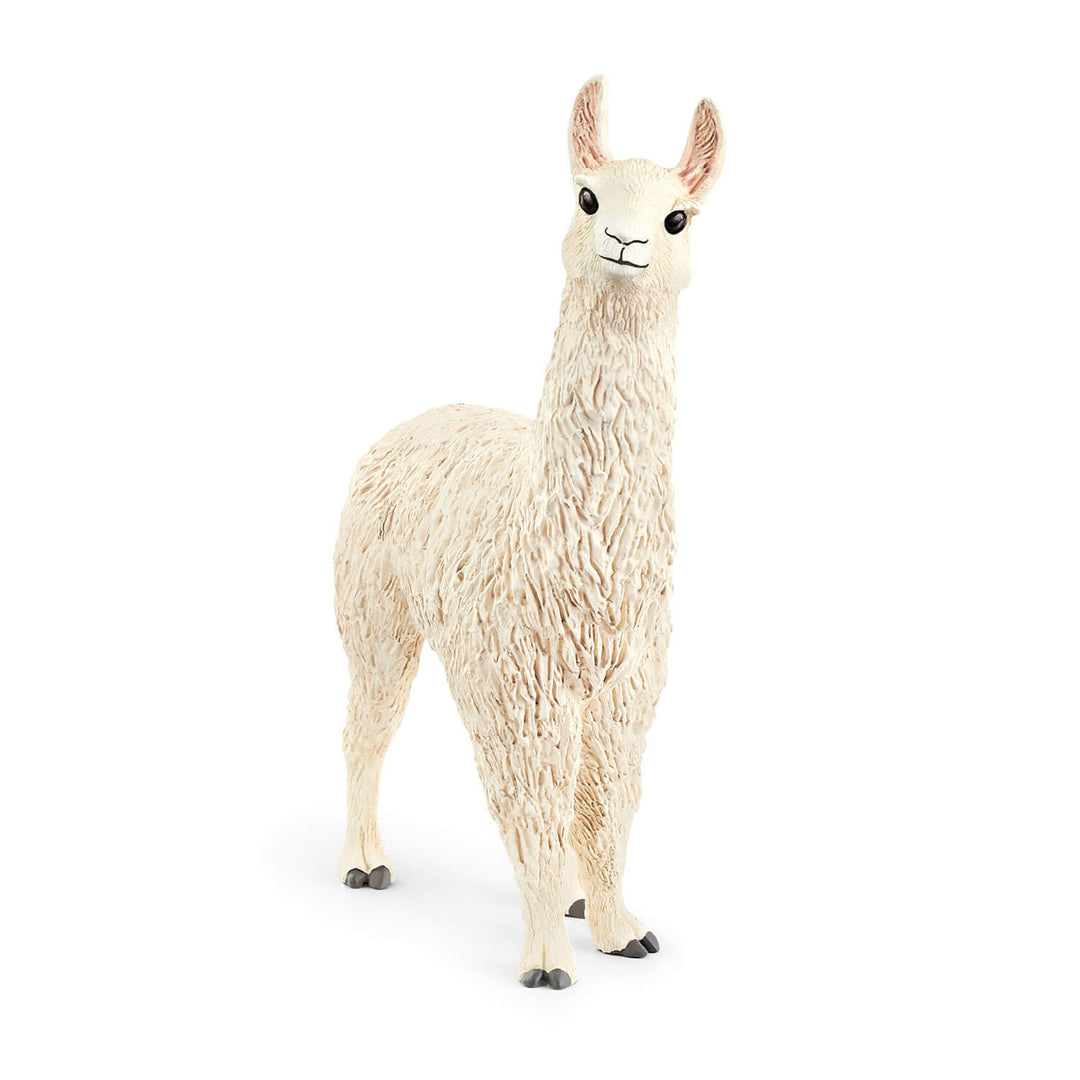 >Schleich WILD LIFE - Llama