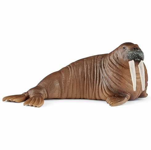 Schleich WILD LIFE - Walrus