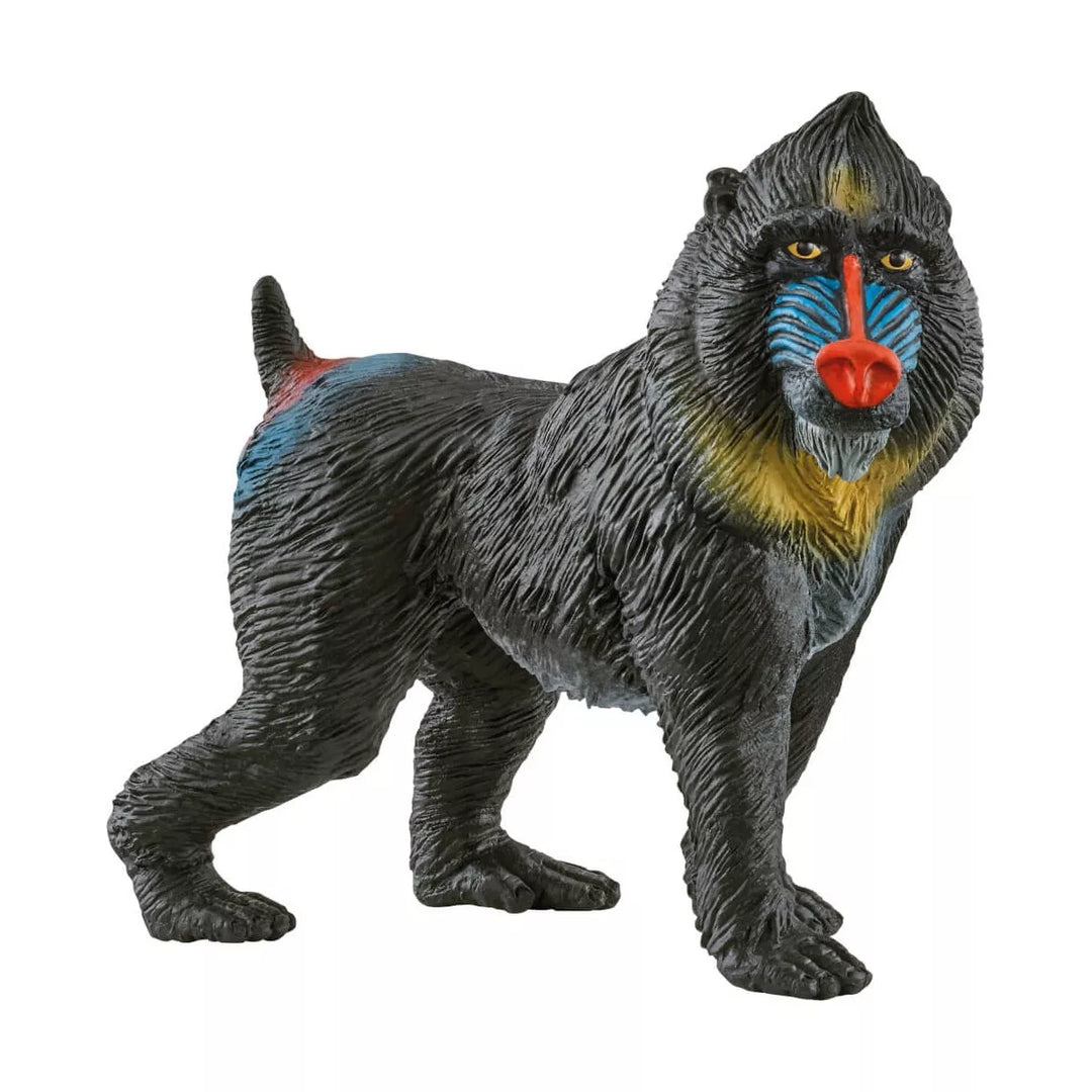 >Schleich WILD LIFE - Mandrill